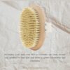 Zen Body brush in Kuwait - Dashe Beauty