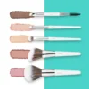Fillimilli Mini Makeup Brush Set