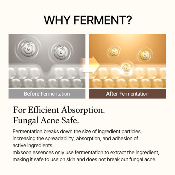 mixsoon Bean Essence