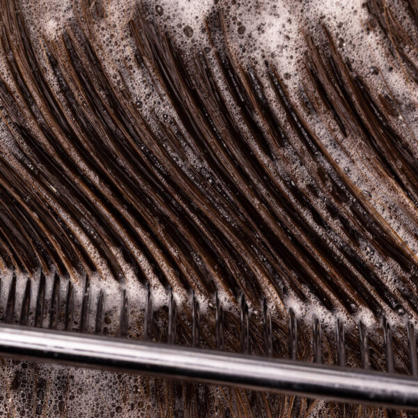 Pureology Hydrate Sheer Shampoo