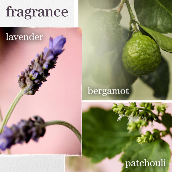 Pureology Hydrate Sheer Shampoo