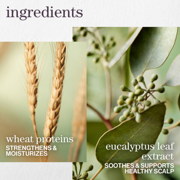 Pureology Hydrate Sheer Shampoo