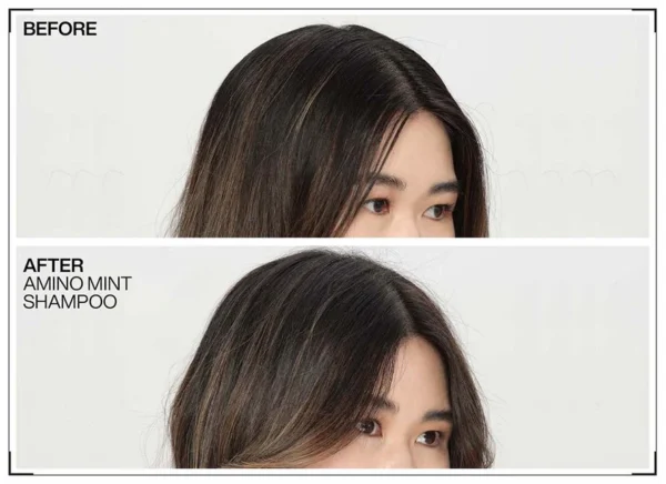 REDKEN Amino Mint Shampoo