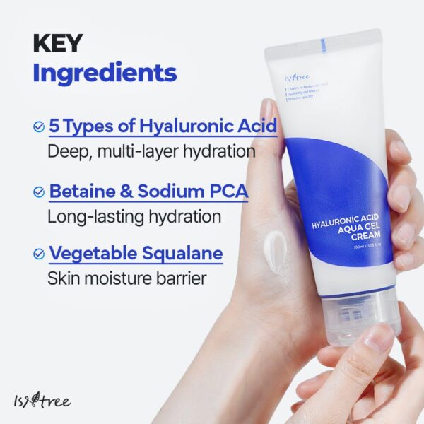 IsNtree Hyaluronic Acid Aqua Gel Cream
