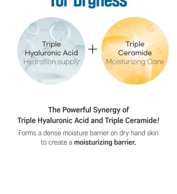 ROUND LAB - Birch Juice Hand Cream