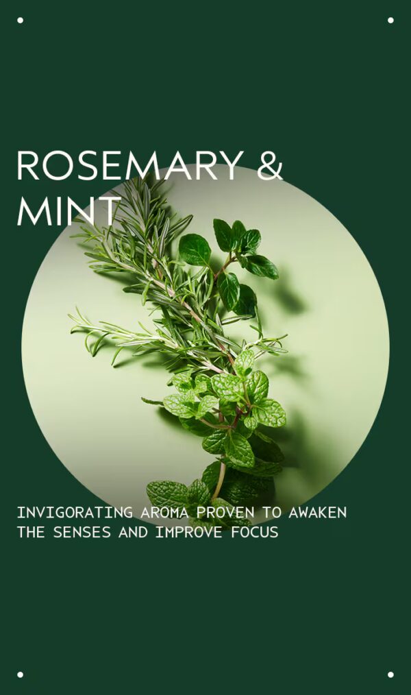 Rosemary mint weightless conditioner