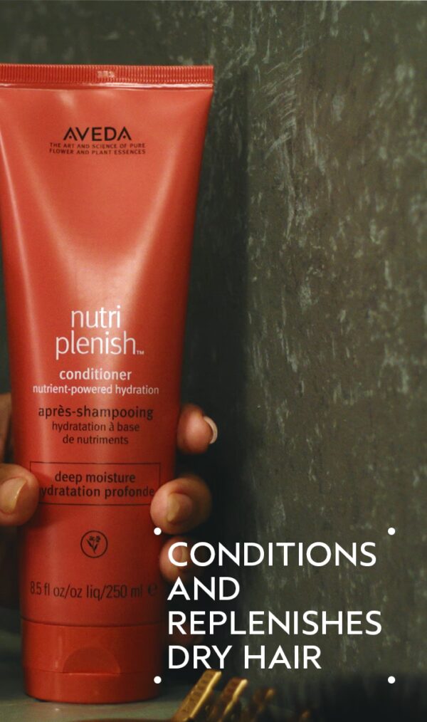 Nutriplenish™ conditioner deep moisture