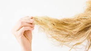 How to Prevent Hair Frizz - DASHE Beauty Kuwait